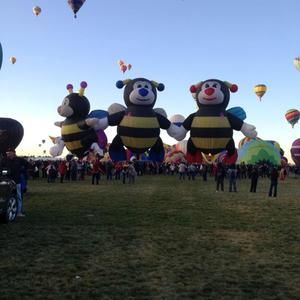 Meet your Posher, Ann